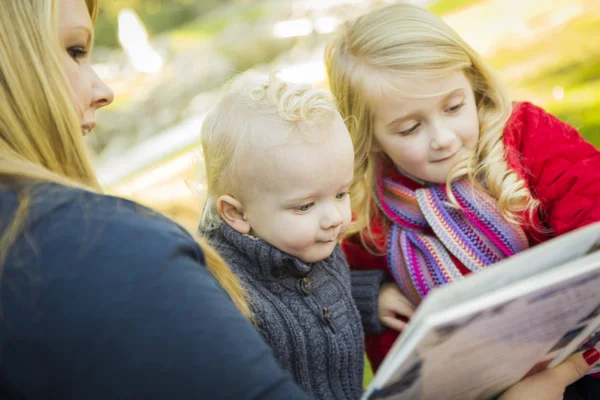 Moeder lezen van een boek aan haar twee schattige blonde kinderen uit op het park — Stockfoto