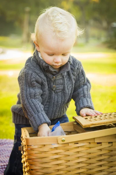 Blond pojke öppna picknickkorg utomhus i parken — Stockfoto