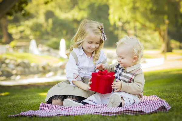 Petite fille donne un cadeau à son petit frère au parc — Photo