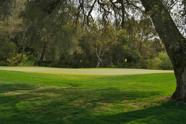 Campo Golf Con Césped Escénico Verde Bandera —  Fotos de Stock