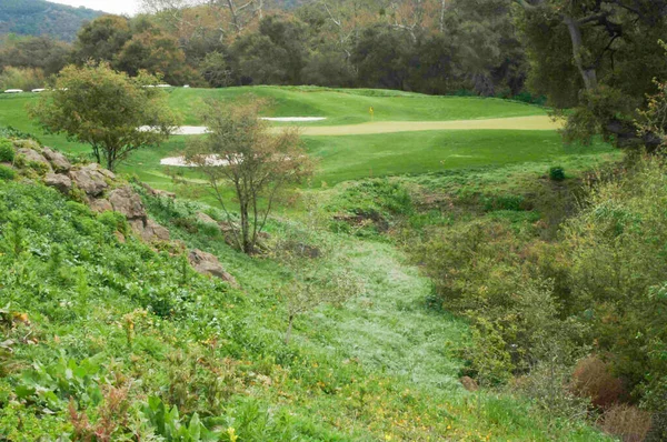 Campo Golfe Cênico Fairway Verde — Fotografia de Stock