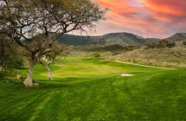 Campo Golfe Cênico Fairway Verde — Fotografia de Stock