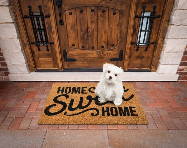 Maltese Puppy Sitting Home Sweet Home Welcome Mat Front Door — Fotografia de Stock