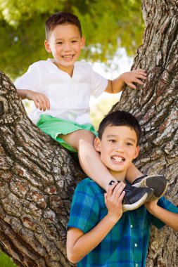 Outdoor portrait of mixed race Chinese and Caucasian brothers having fun climbing a tree.