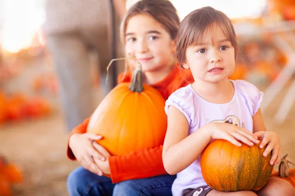 Adorable Little Girls Holding Pumpkins Pumpkin Patch — Stock Photo, Image