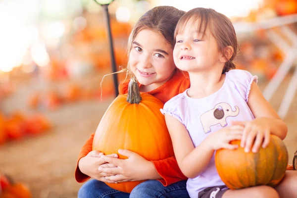 Schattige Kleine Meisjes Houden Pompoenen Bij Een Pompoen Patch — Stockfoto