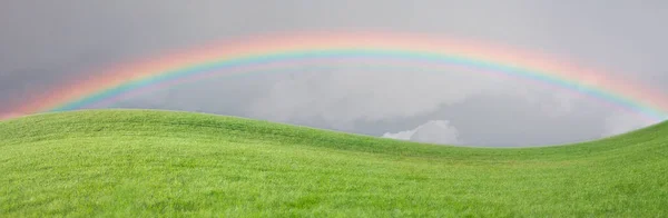 Gräsfält Med Regnbåge Himlen — Stockfoto