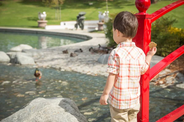 Jovem Chinês Caucasiano Menino Divertindo Parque Lago Pato — Fotografia de Stock