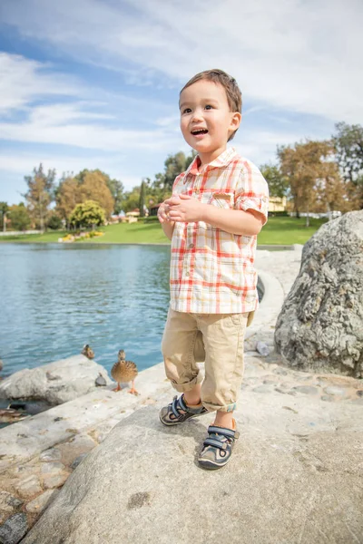 公園とアヒルの池で楽しい中国人と白人の少年 — ストック写真