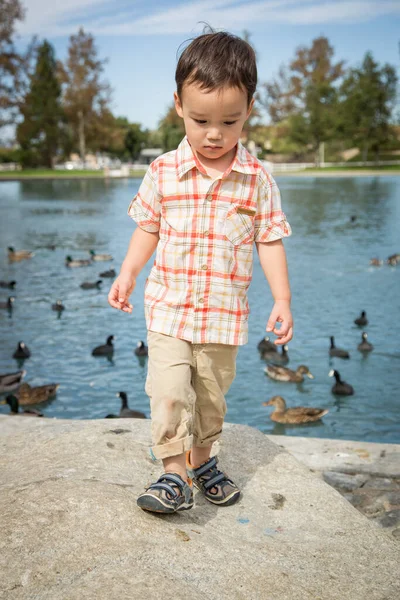 Jeune Chinois Caucasien Garçon Avoir Amusant Parc Canard Étang — Photo