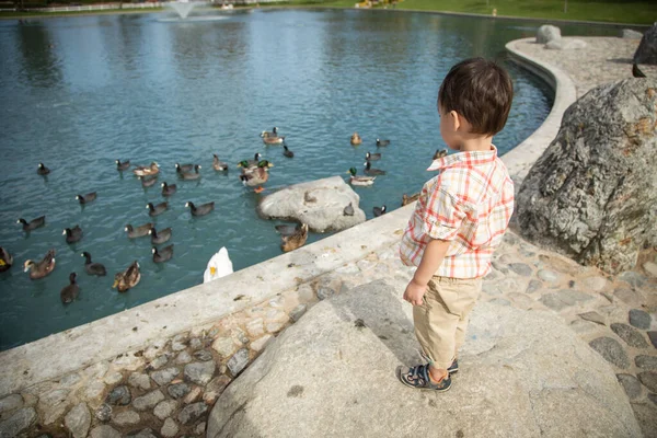 Giovane Cinese Caucasico Ragazzo Having Divertimento Parco Anatra Stagno — Foto Stock