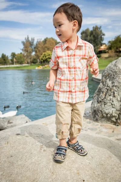 Young Chinese Caucasian Boy Having Fun Park Duck Pond — Stock Photo, Image