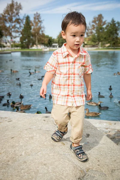 Joven Chino Caucásico Chico Tener Diversión Parque Pato Estanque —  Fotos de Stock