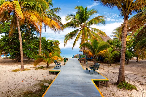 La playa tropical de Varadero en Cuba — Foto de Stock