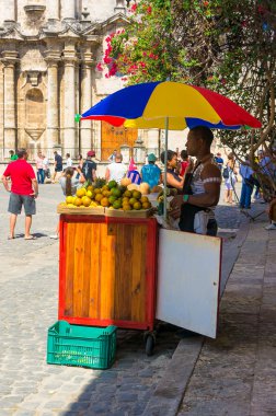 turistlere Havana'da tropikal meyve satan durak