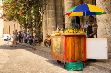 turistlere Havana'da tropikal meyve satan durak