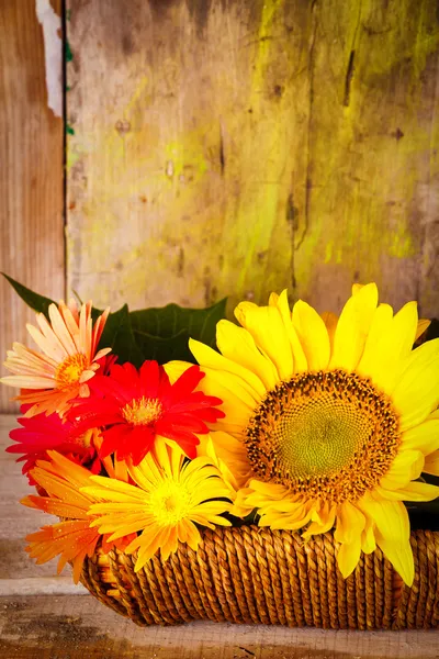 Basket with sunflowers and daisies — Stock Photo, Image