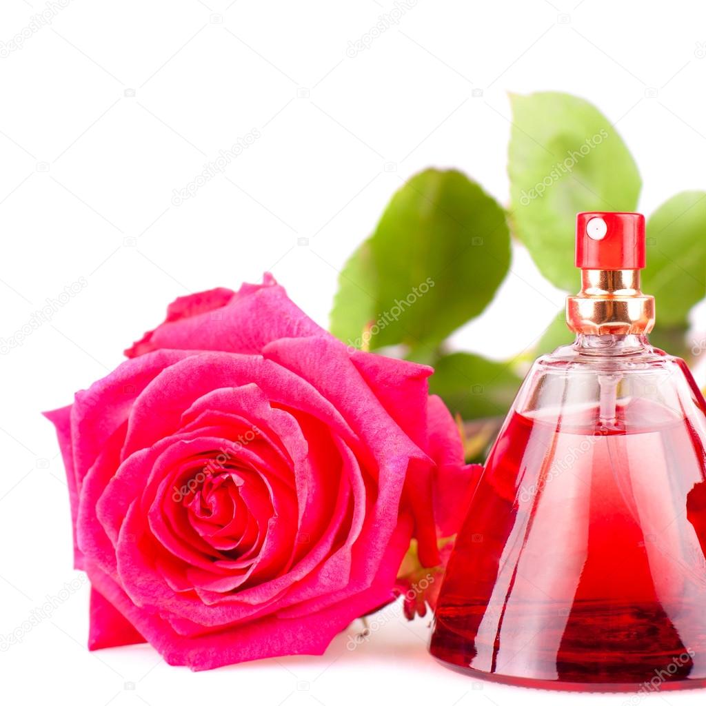 Red rose and a bottle of perfume isolated on white