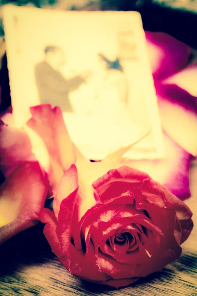Rosa roja con imagen de desmalezado y fuera de foco —  Fotos de Stock