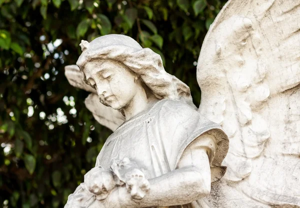 Hermosa escultura de ángel femenino antiguo —  Fotos de Stock