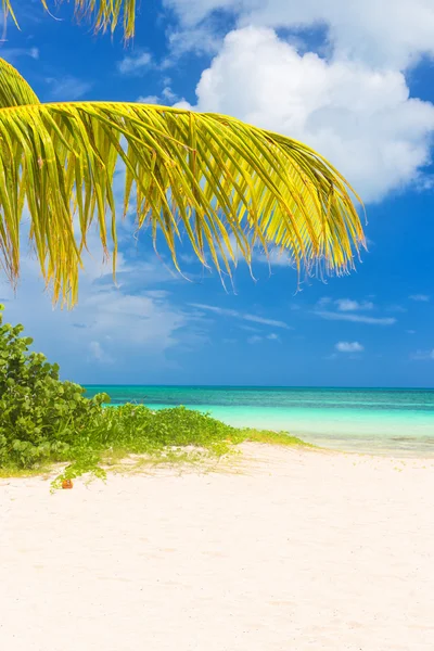 Bela praia tropical na ilha cubana de Cayo Coco — Fotografia de Stock