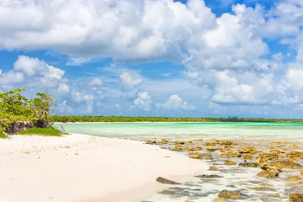 Playa tropical virgen con agua turquesa en Cuba —  Fotos de Stock