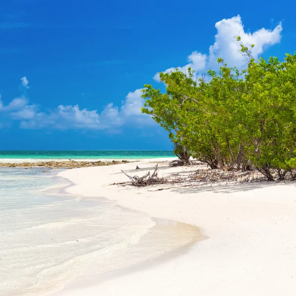 Девственный тропический пляж Кубы — стоковое фото