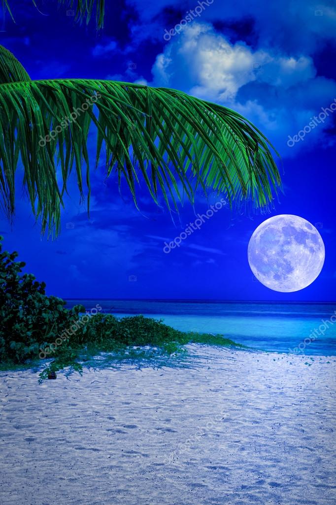 Beach At Night With Moon