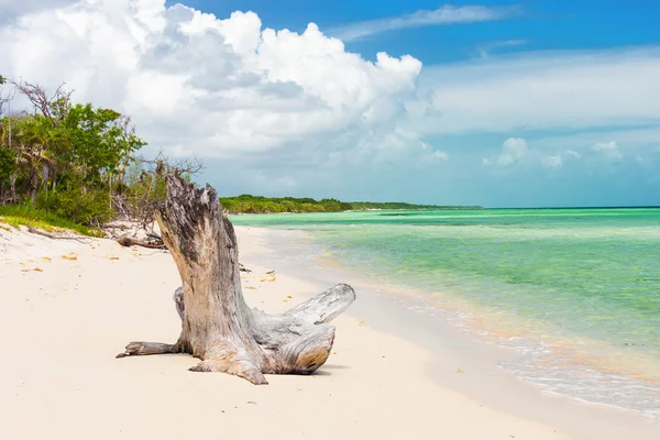 Maagdelijke strand bij Coco sleutel (Cayo Coco) in Cuba — Stockfoto