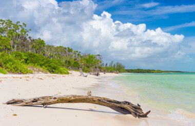 Coco Key (Cayo Coco) Küba'da bakire tropikal plaj