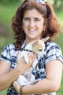 sarılma küçük chihuahua köpek kadın