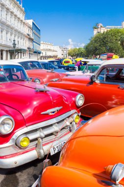 Havana klasik Amerikan otomobil renkli grubu