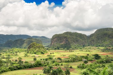 The Vinales Valley in Cuba clipart