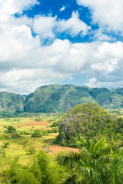 Küba'da vinales Vadisi