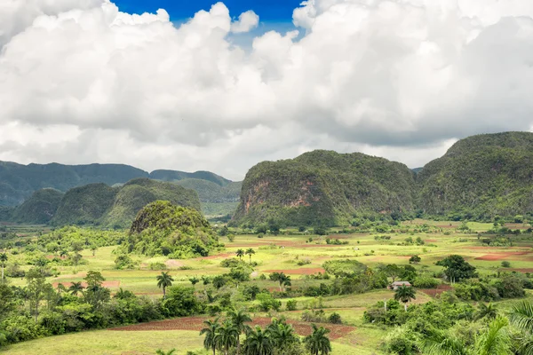 The Vinales Valley in Cuba — Stock Photo, Image