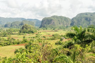 Küba'da vinales Vadisi