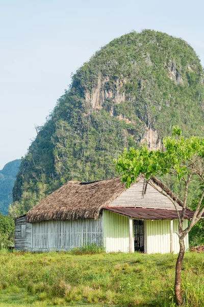 Rural scene with a rustic house at the Vinales Valley in Cuba — Stock Photo, Image