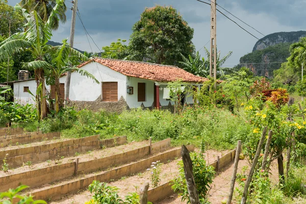 Casa rural típica no vale de Vinales em Cuba — Fotografia de Stock