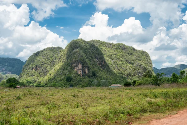 Die berge im vinales tal in kuba — Stockfoto