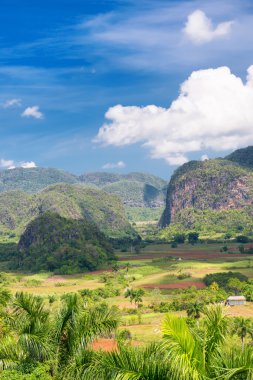 The Vinales valley in Cuba clipart