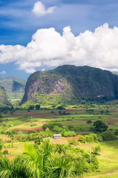 The Vinales valley in Cuba — Stock Photo, Image