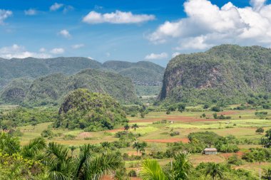 Küba'da vinales vadinin doğal görünümü
