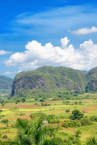 La Valle dei Vigneti a Cuba — Foto Stock