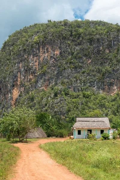 Typical rustic wooden house at the Vinales Valley in Cuba — Stock Photo, Image