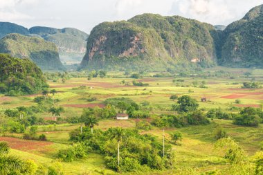 View of the Vinales Valley in Cuba on the early morning clipart