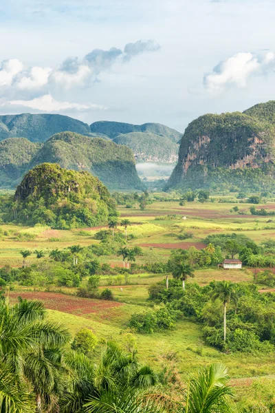 View of the Vinales Valley in Cuba on the early morning — Stock Photo, Image