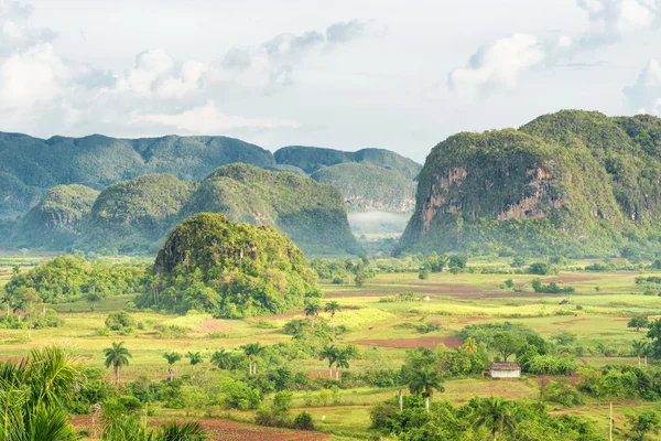 Vista do Vale de Vinales em Cuba no início da manhã — Fotografia de Stock