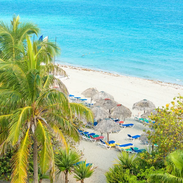 Kokospalmen en rieten parasols in een Cubaanse strand — Stockfoto