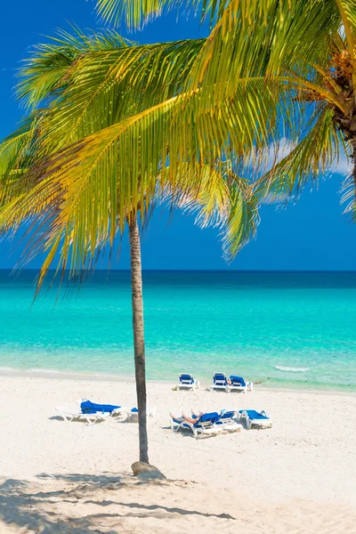Den vackra varadero beach i Kuba — Stockfoto