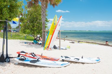 sörf tahtaları ve Miami beach keyfi kişi